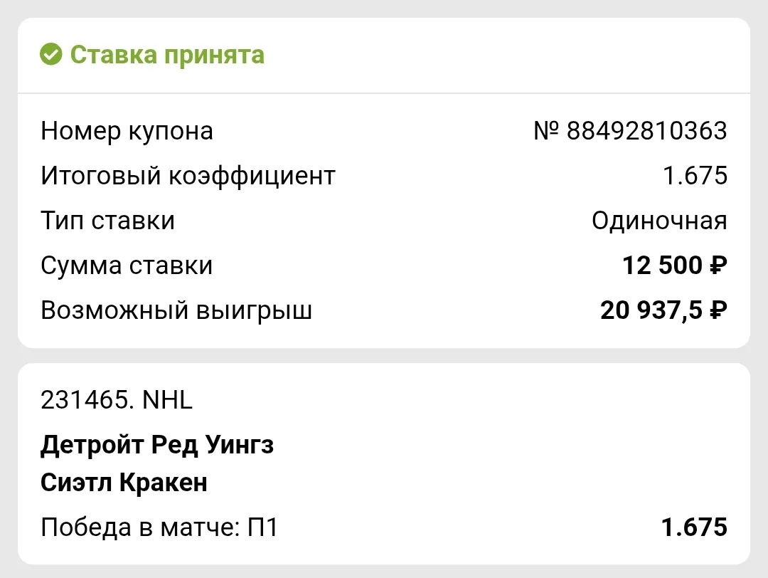 Хоккей 🏒
