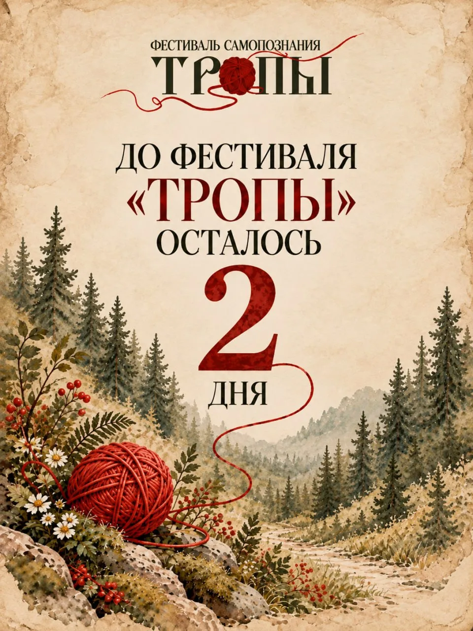 🧶2 дня