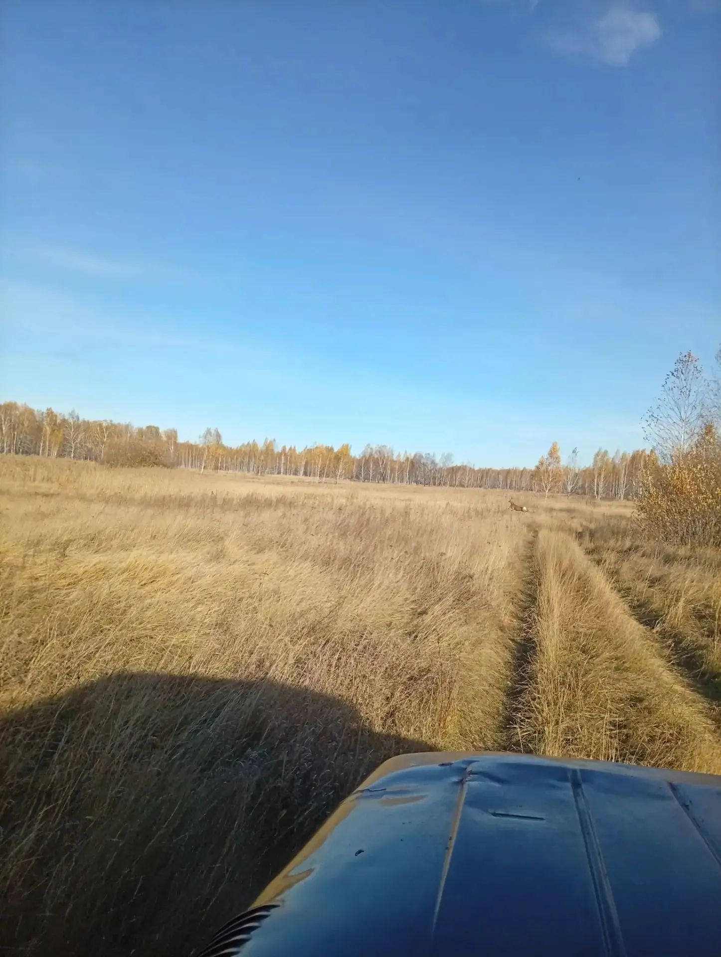 Мероприятия в рамках постоянного рейда в Сафакулевском  государственном заказнике.