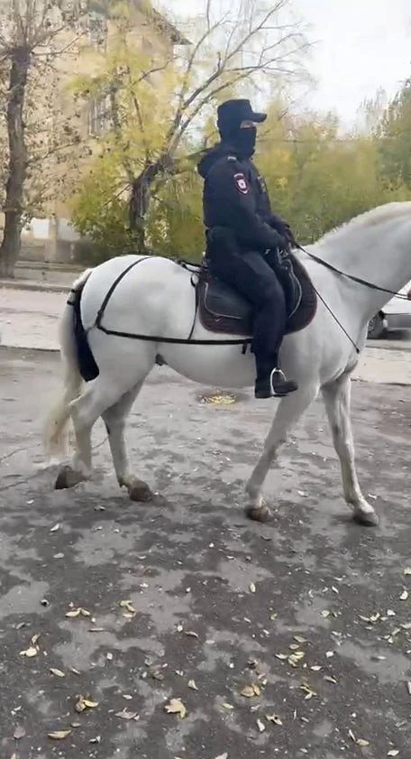 Всё чаще на улицах нашего района стали замечать конную полицию. Кто переживал за экскре...
