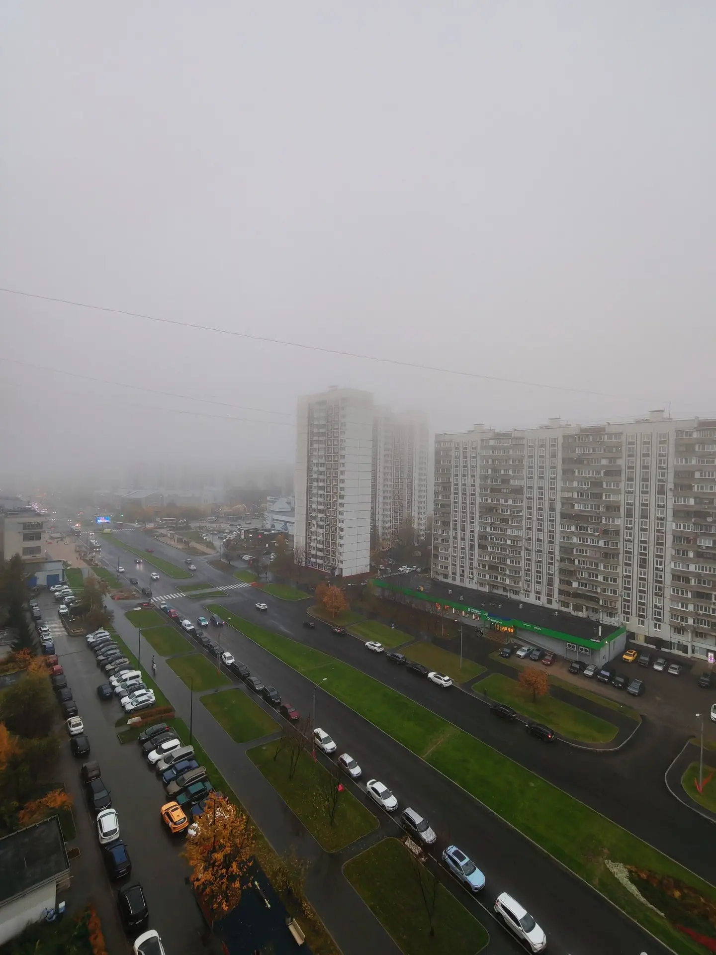 ТУМАННОЕ УТРО!