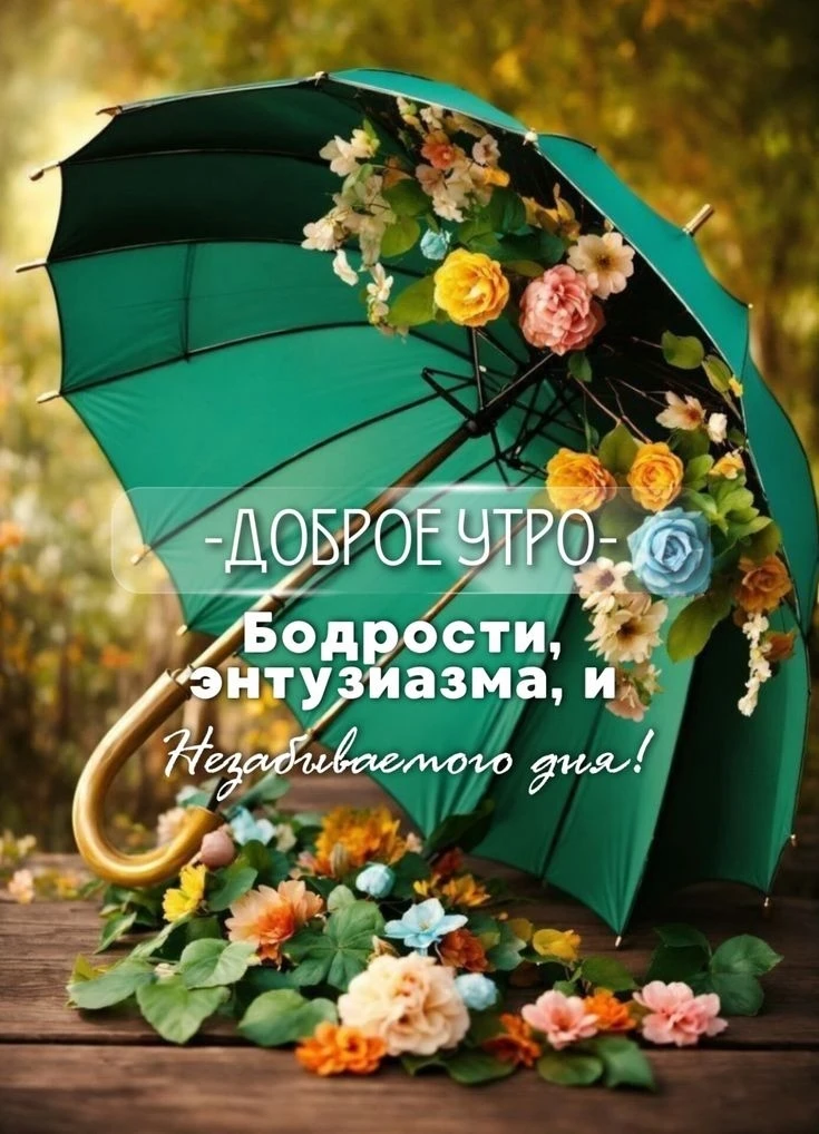 🎀 Красивые открытки