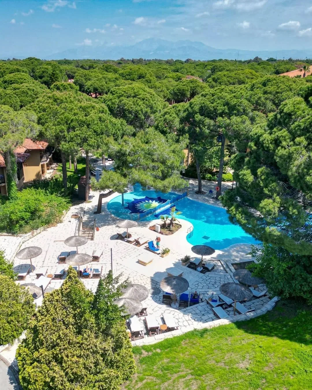 🏝️СЕМЕЙНЫЙ ФАВОРИТ В СИДЕ