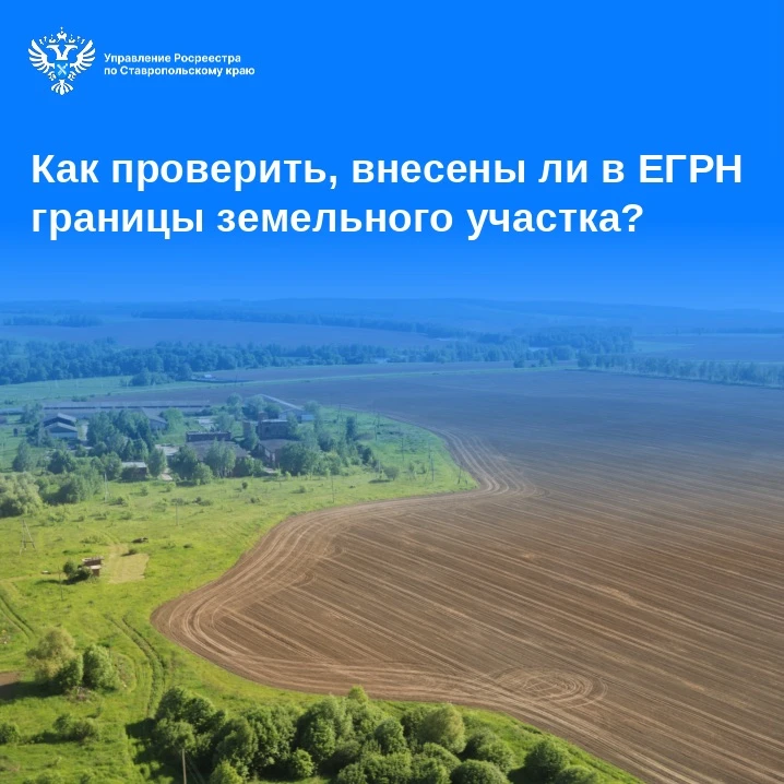 Как проверить, внесены ли в ЕГРН границы земельного участка?