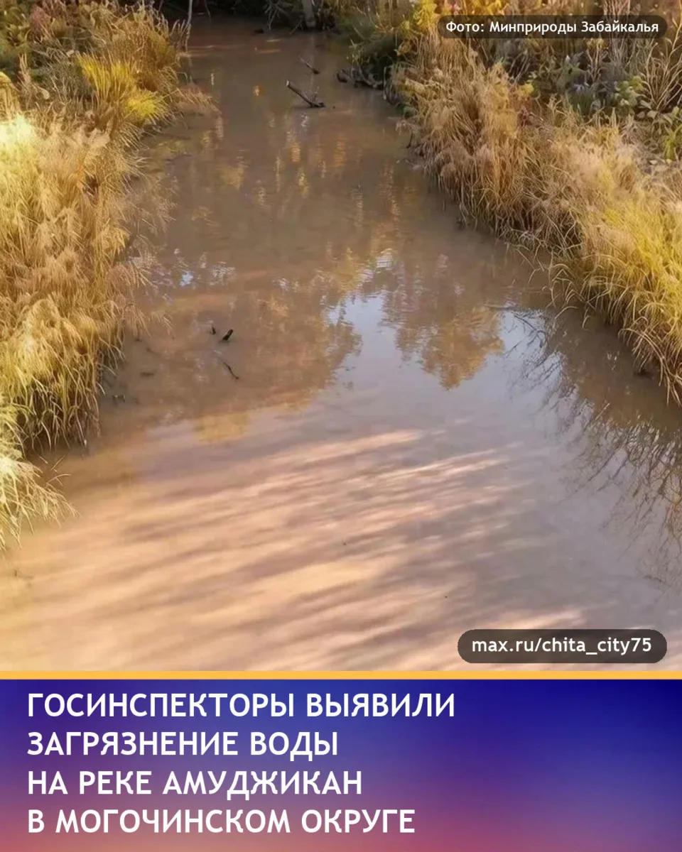 Минприроды Забайкалья в своём канале в MAX сообщил(а), что на реке Амуджикан, притоке Ч...