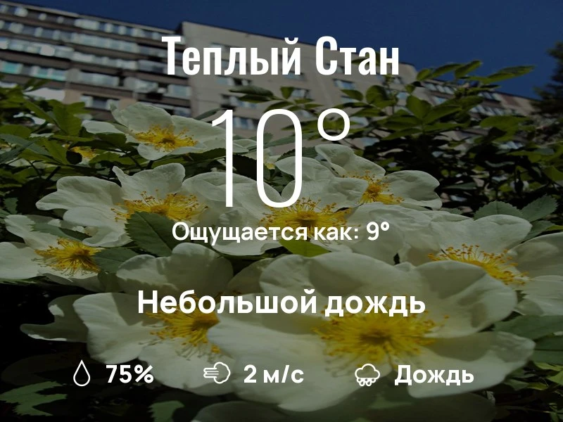 Что с погодой в Теплом Стане?