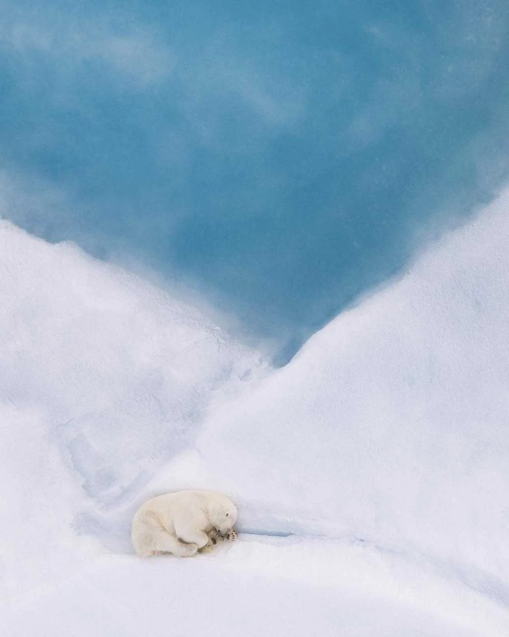 📸 Лучшие снимки финалистов фотоконкурса Siena International Photo Awards 2026