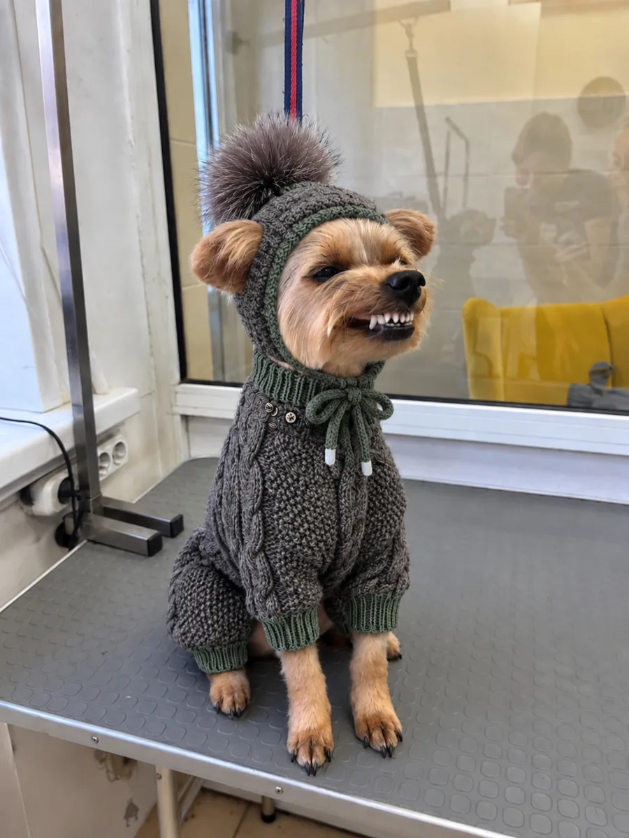Маленькие модники тоже любят обновки 😍