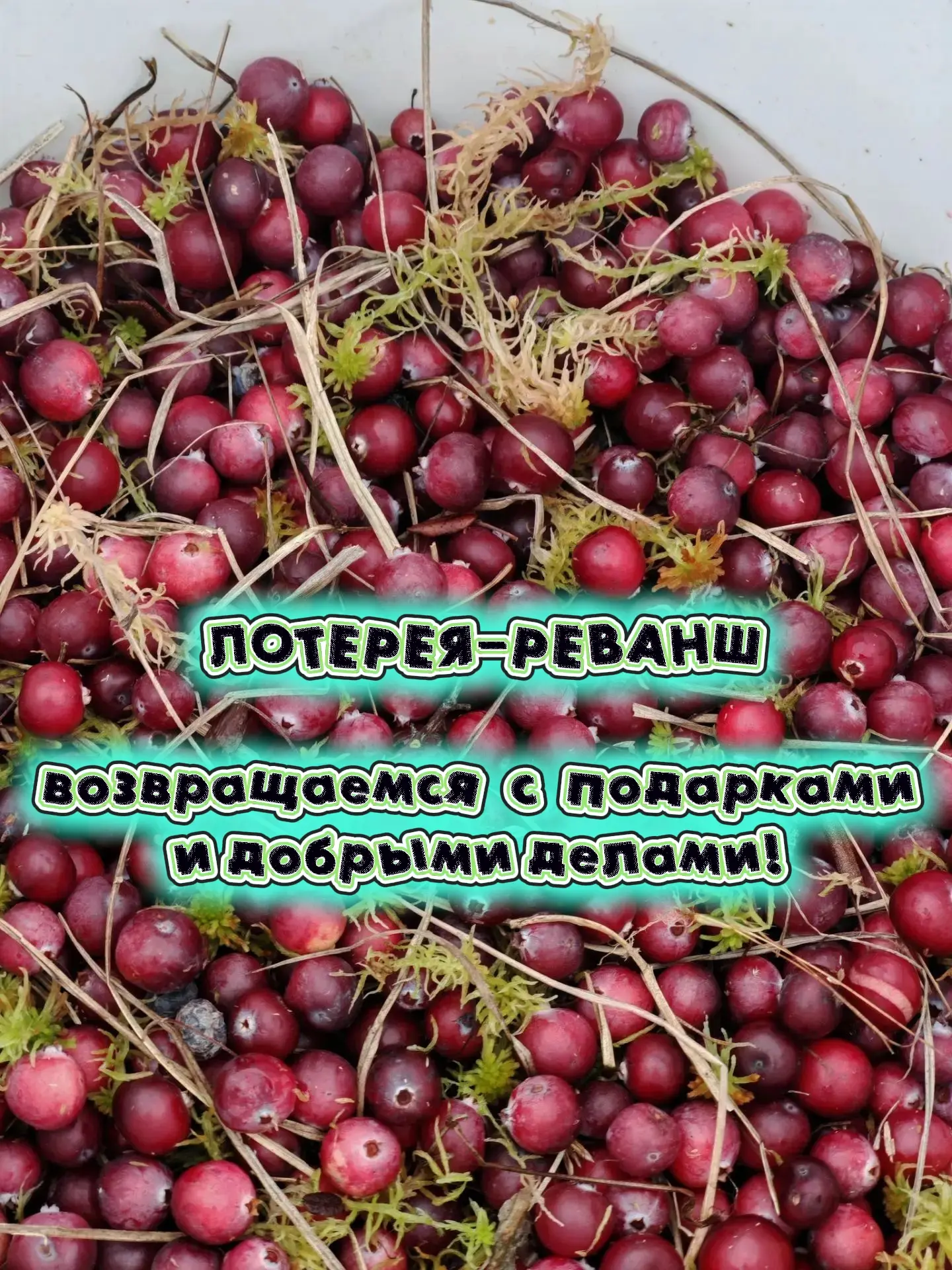 ЛОТЕРЕЯ-РЕВАНШ: возвращаемся с подарками и добрыми делами! 🐾