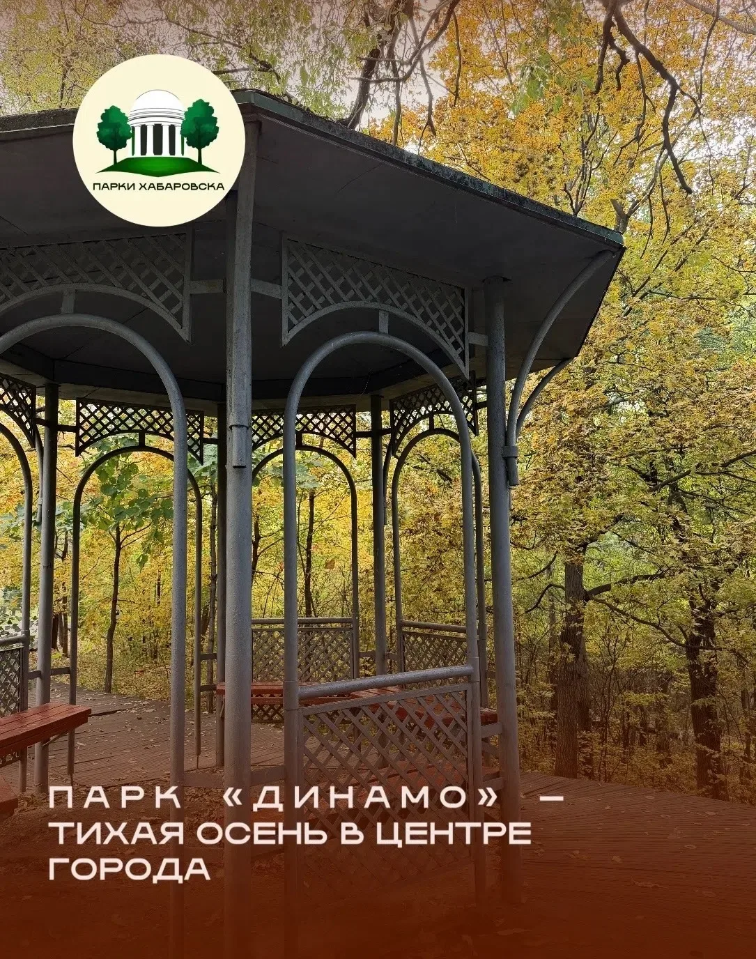 🌳 Парк «Динамо» — тихая осень в центре города