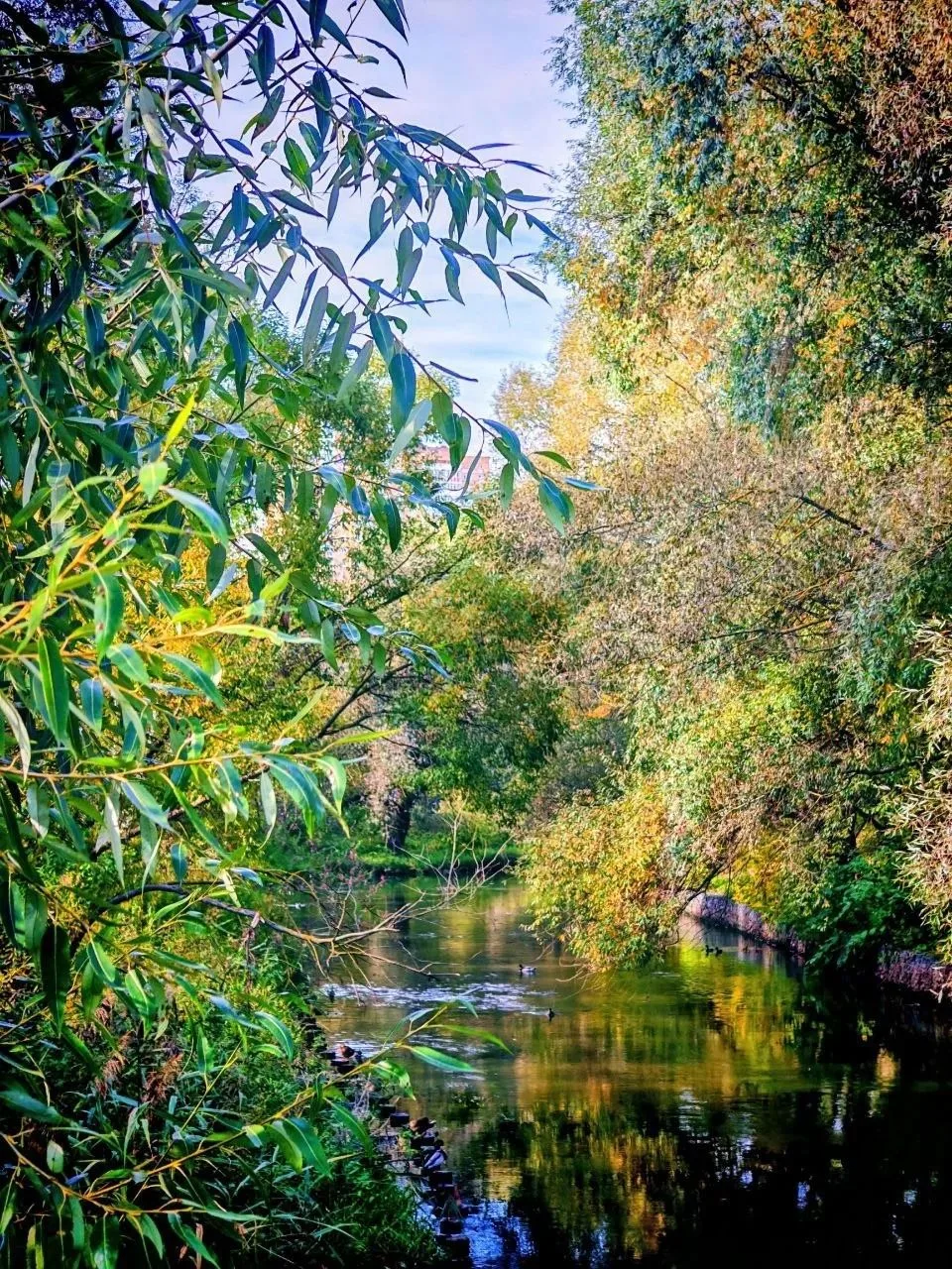🍂 Парк «Яуза» окрасился в яркие осенние оттенки!