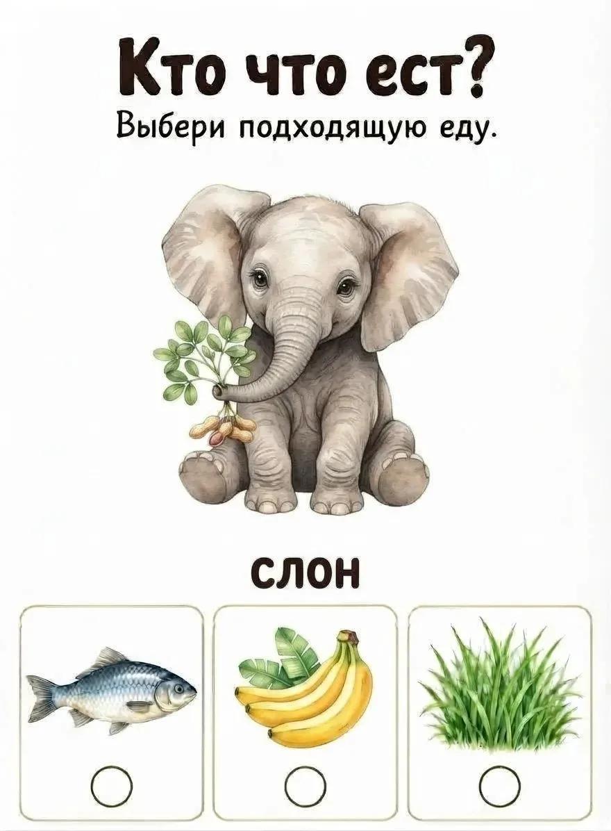 Кто что ест..