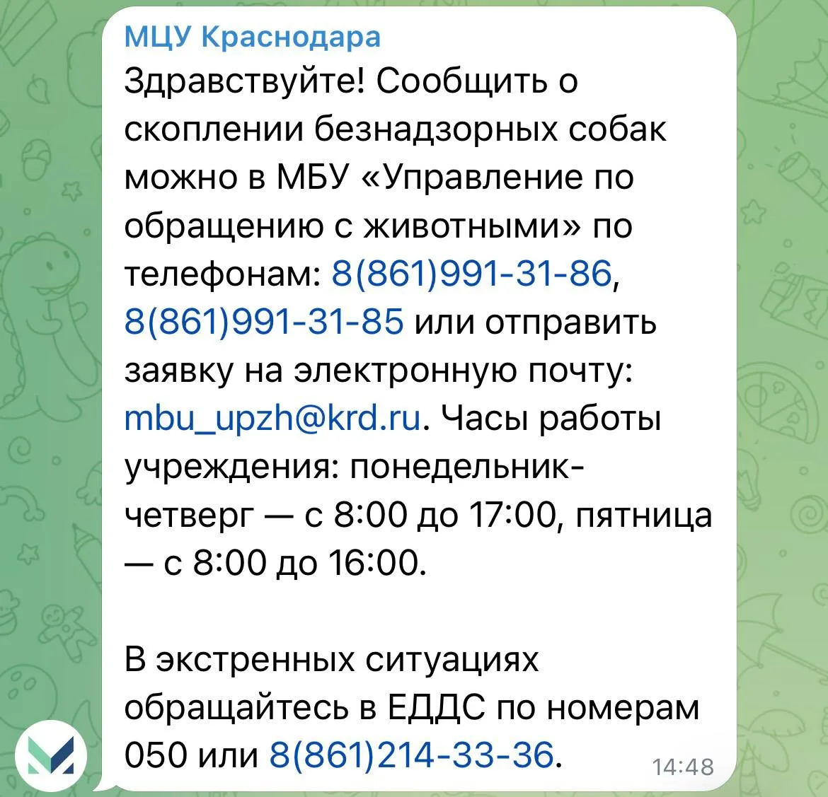 Ответ от МЦУ на публикацию о бездомных собаках на улице Шаляпина.