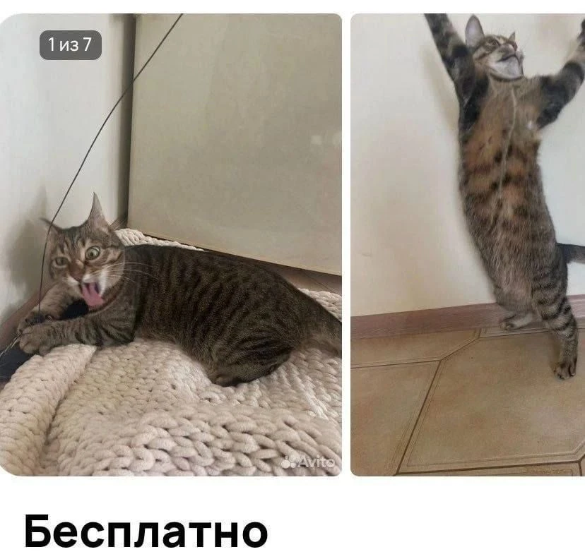Доброе утро ☺️
