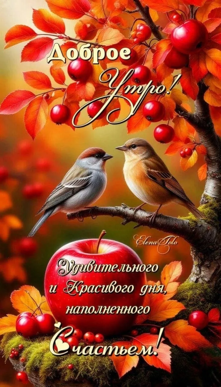 Вот ВАМ ещё красивых картинок,чтоб день наполнился добром и позитивом!❤