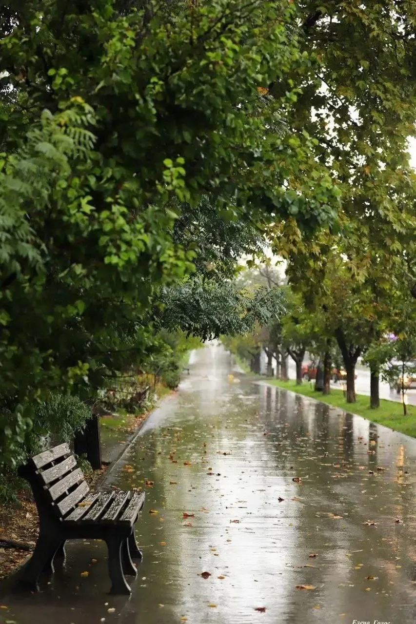 🌦 В Севастополе сегодня пасмурно, возможен небольшой дождь. Северо-западный ветер — 3–...