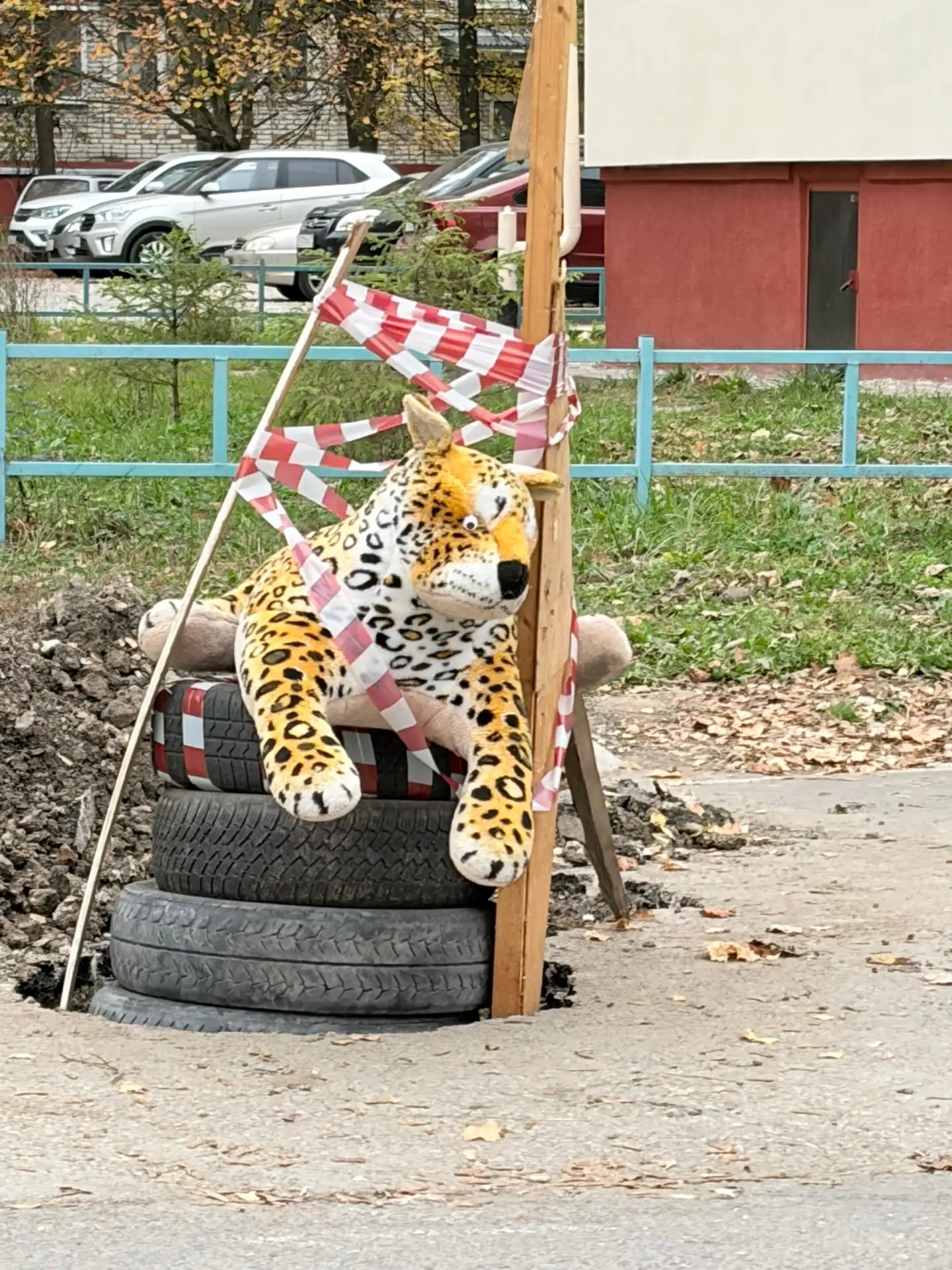 В Алексине яму на въезде во двор поручили охранять тигру! Ул. Дубравная