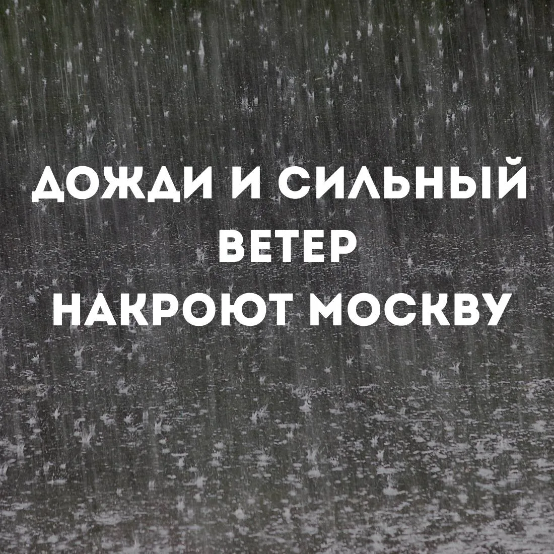 Сегодня синоптики обещают сильную и ветреную погоду. Несмотря на теплое начало дня, ско...