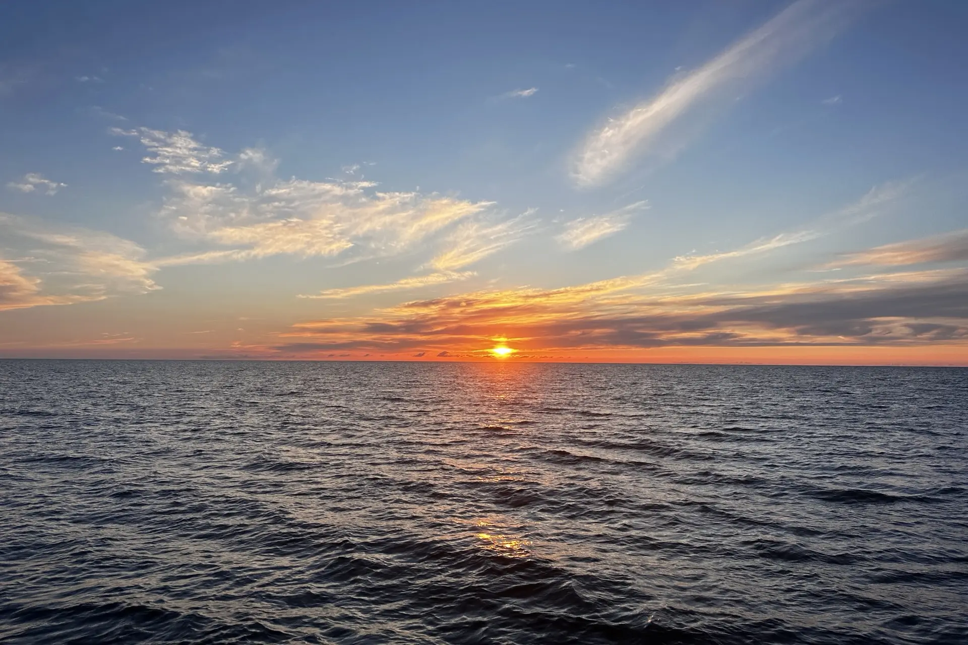 🛥 Навигация скоростного морского транспорта из Сириуса продлена до конца октября