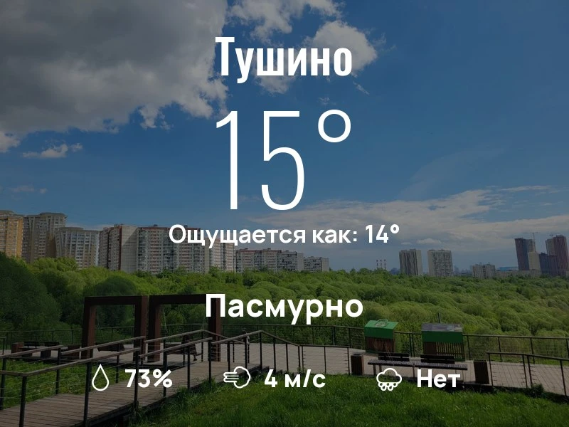 Что с погодой в Тушино?