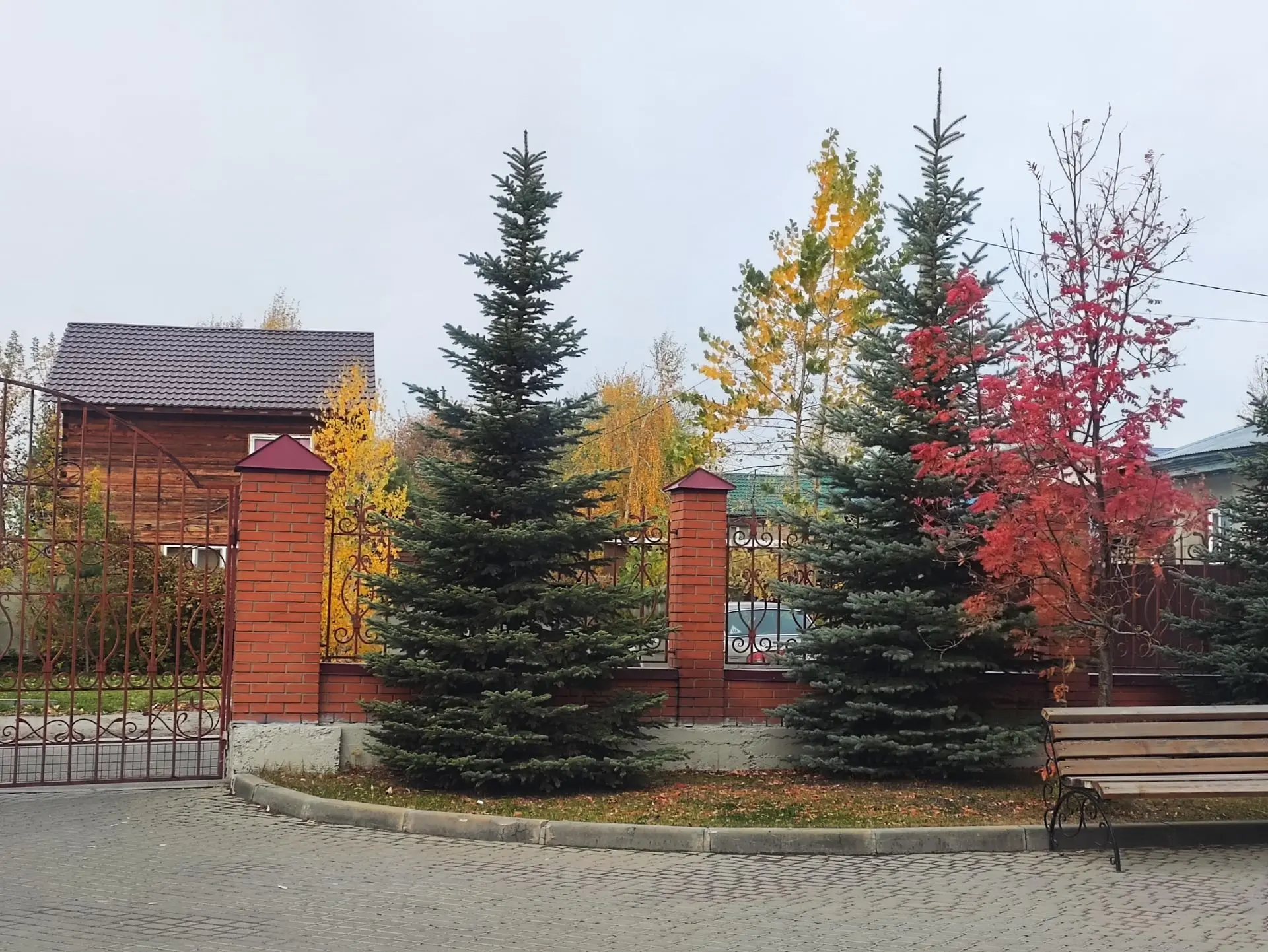 Осень радует своими яркими красками.