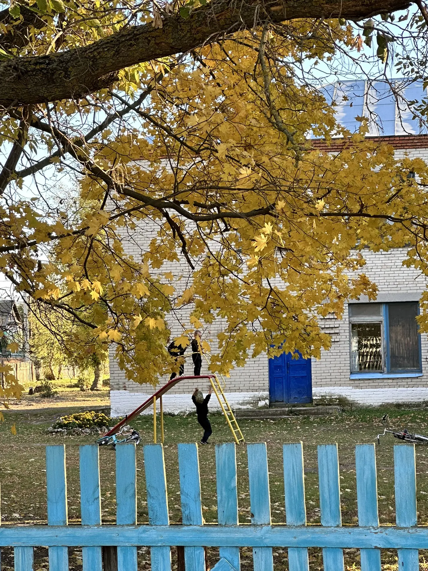 Видео