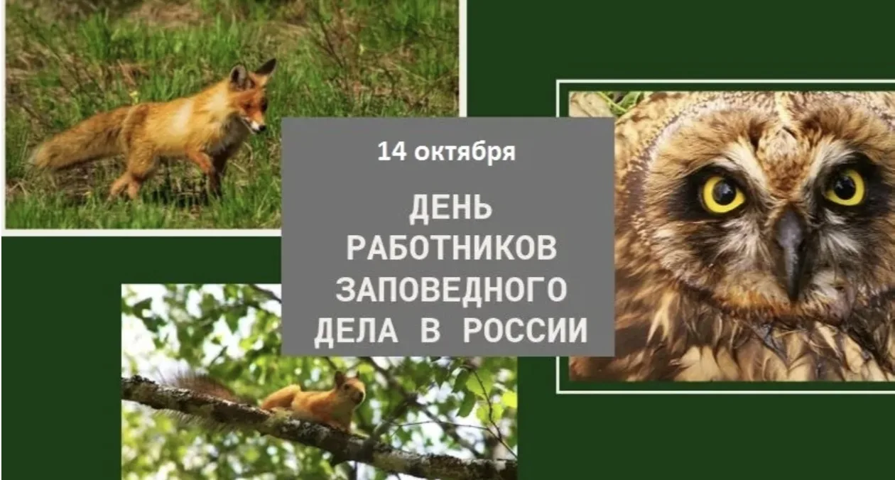 НОВОХОПЕРСК - это уникальный город, с богатой историей.