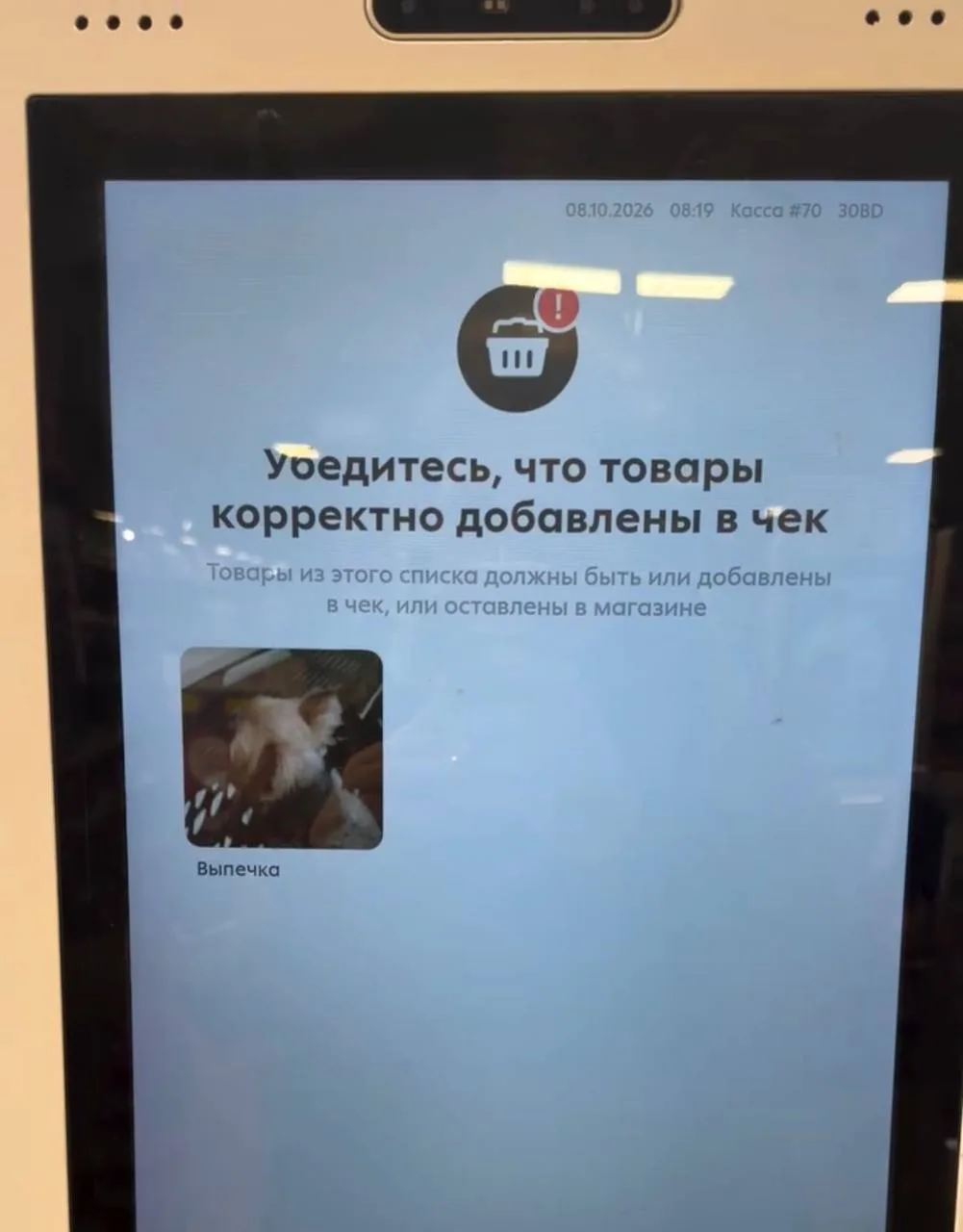 Касса самообслуживания приняла собаку за выпечку.