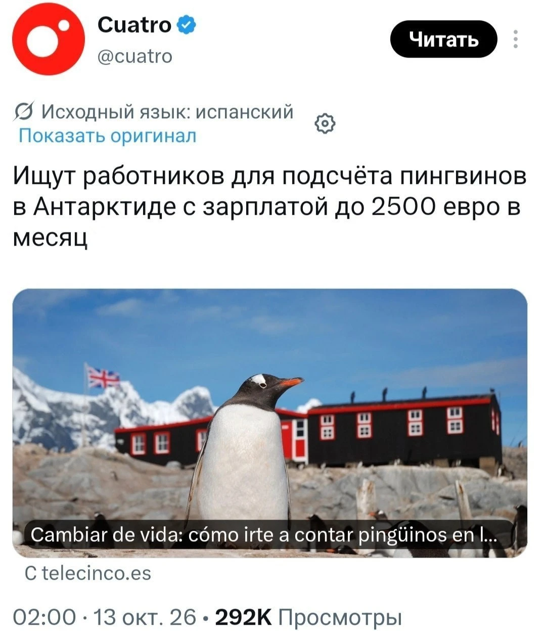 В Антарктиду требуется смотритель пингвинов с зарплатой около 230 тысяч рублей