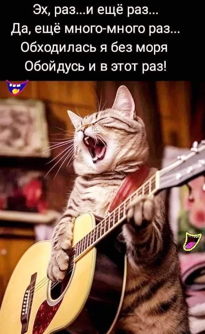 МИР ПОЗИТИВА 🤩 ОТКРЫТКИ!!