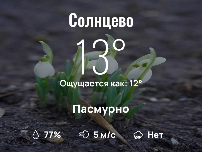 Что с погодой в Солнцево?