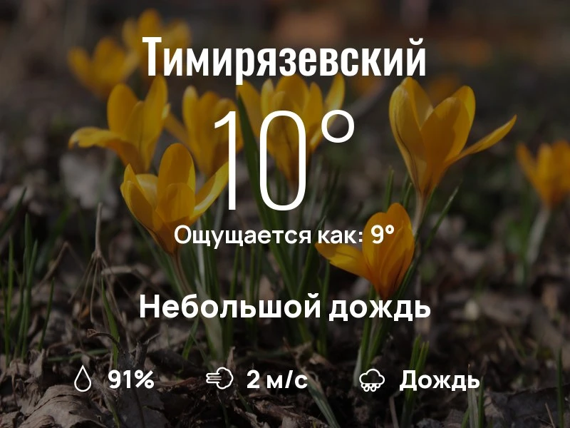 Что с погодой в Тимирязевском?