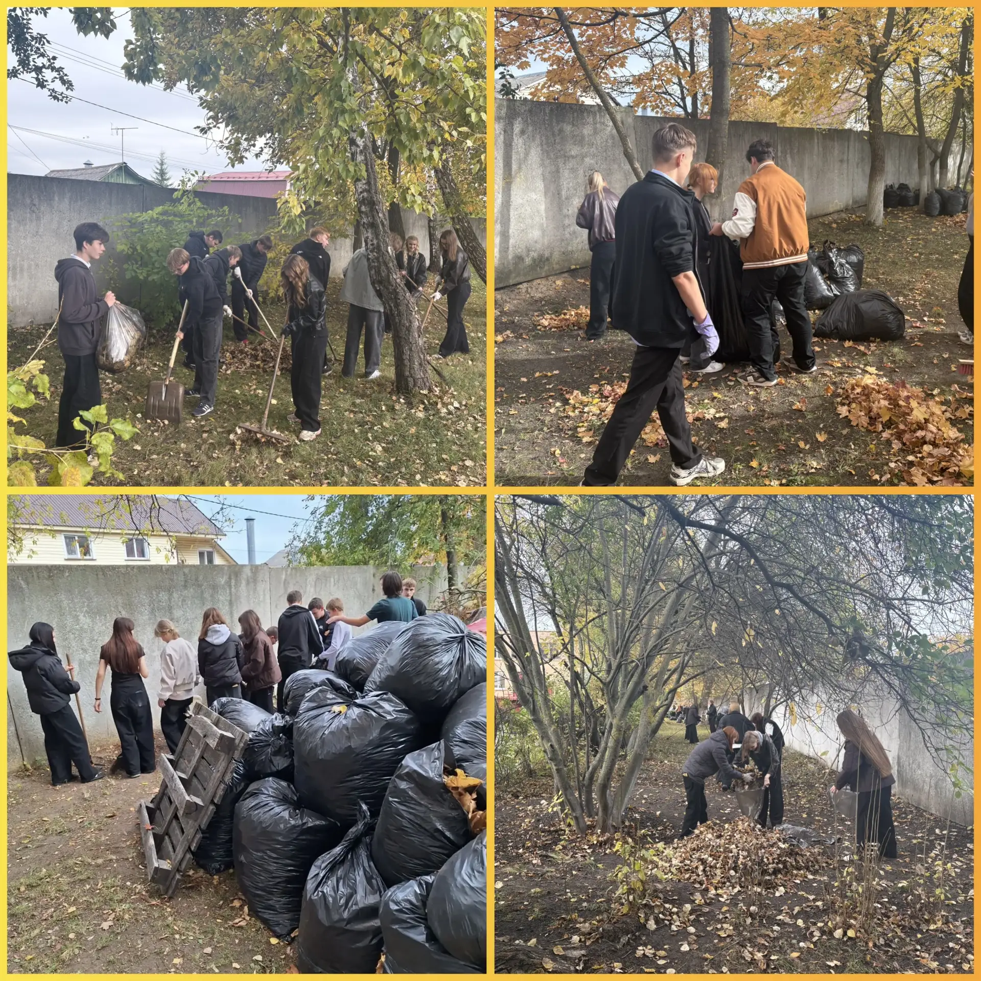 🌳💚 Наши ребята в деле! 🧑‍🦱🧑‍🦰