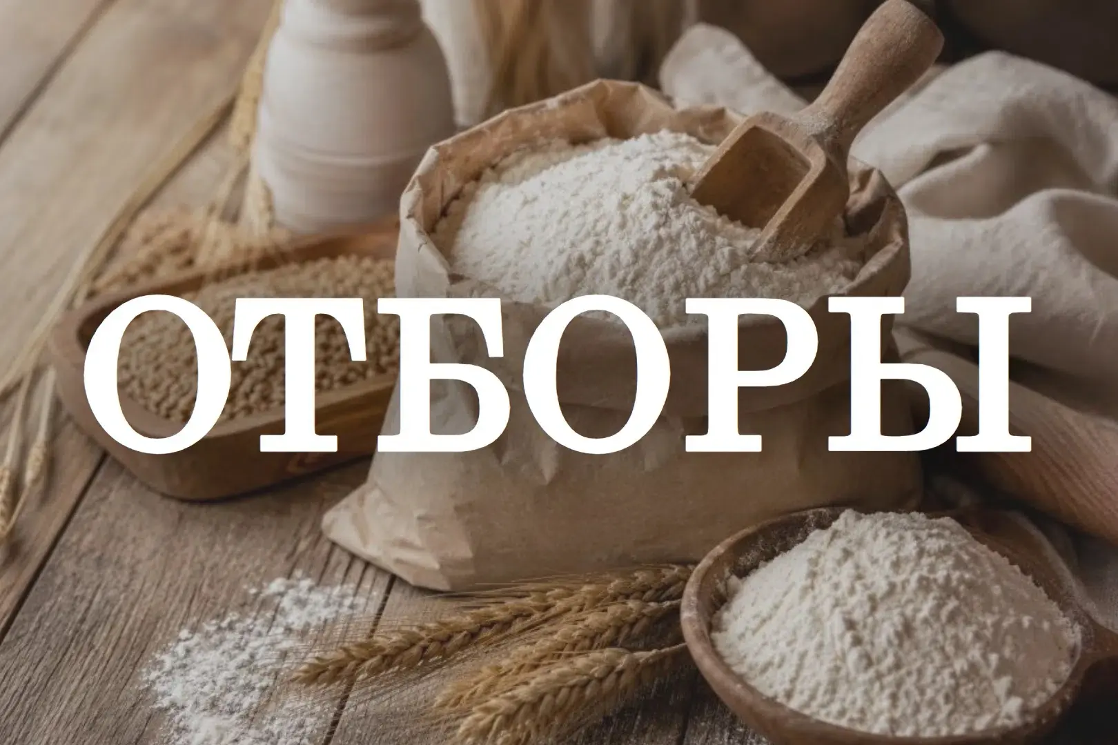 🍞 Стартовал отбор претендентов на предоставление субсидии на перевозку муки или зерна ...