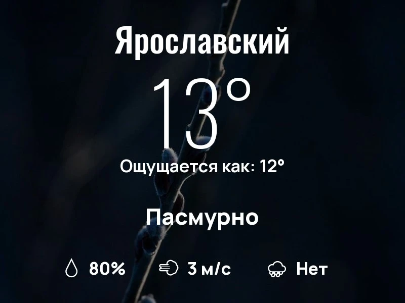Что с погодой в Ярославском?