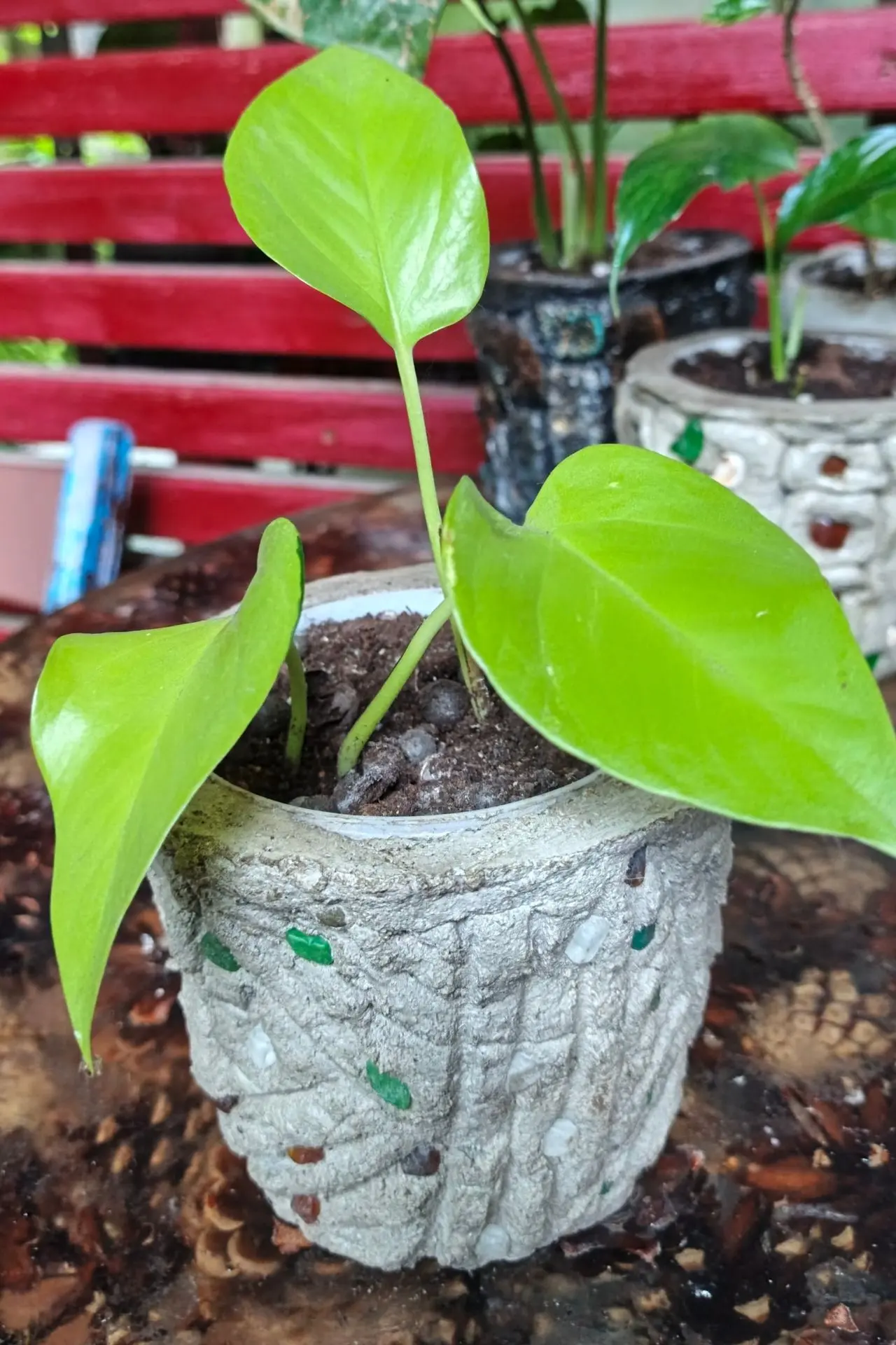 #продам