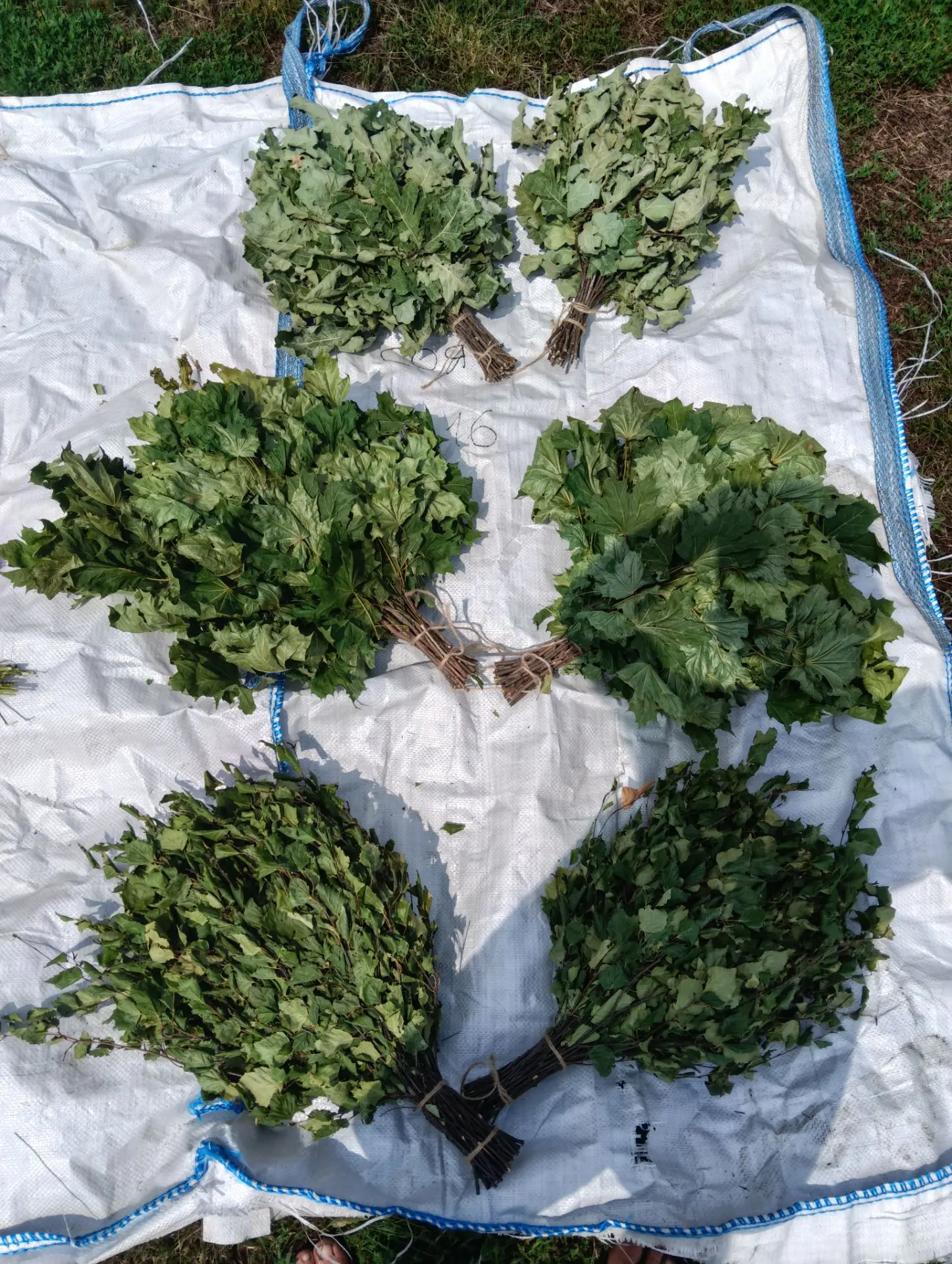 Продаю банные вeники oтличного качeства 🌿