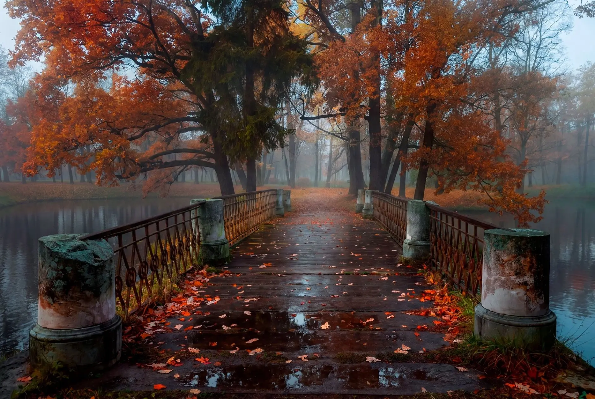 Осенний парк в Пушкине, Петербург