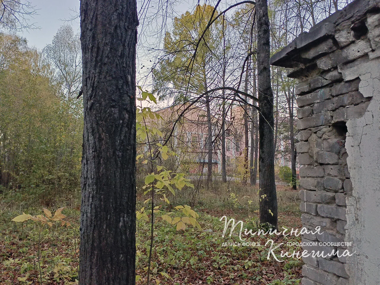 У Нардома в Кинешме
