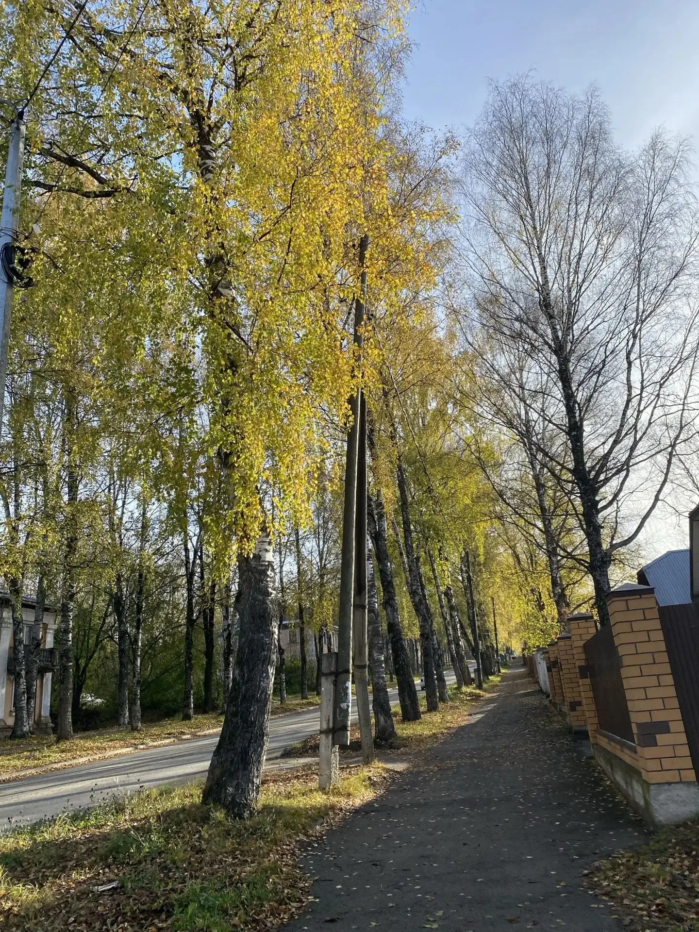 Желаем всем чудесных выходных! Наслаждайтесь последними солнечными деньками золотой осени!