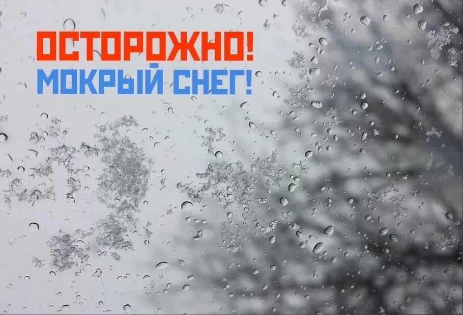 Опасное явление (сильное гололедно-изморозевое отложение) ожидается местами в Югре 5-6 ...