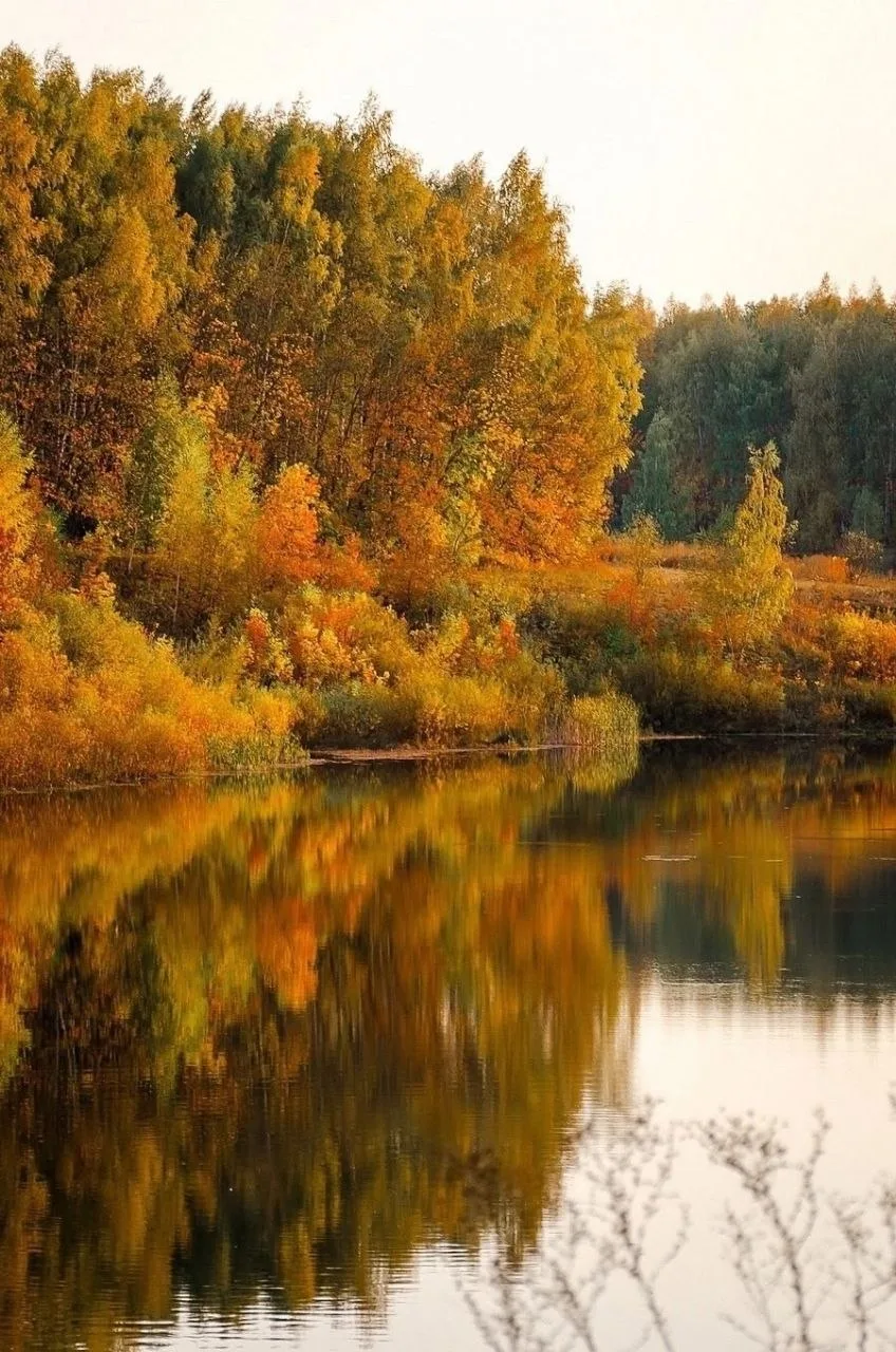 🍁 Лосевский пруд примерил осенние цвета