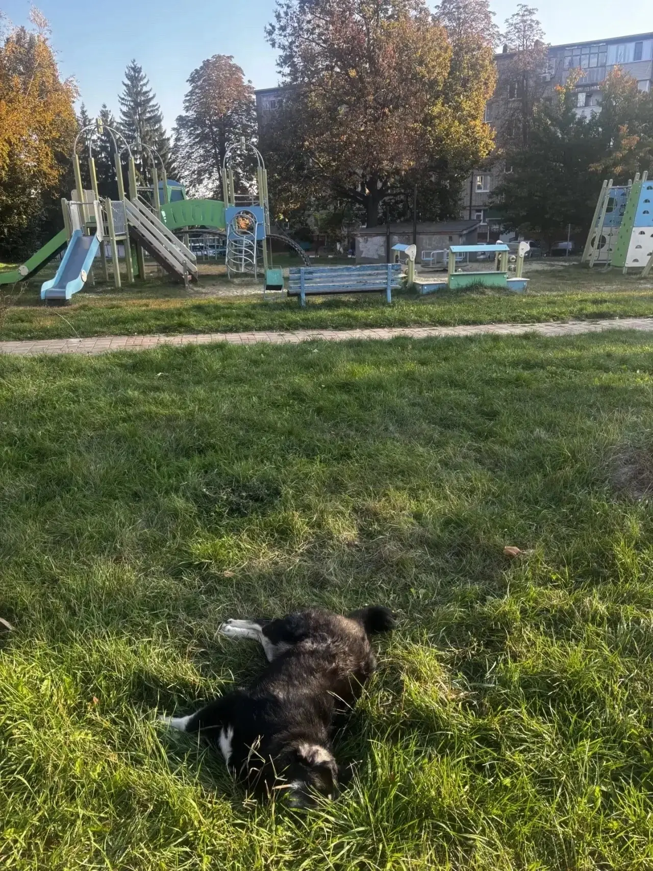 Нам пишут: