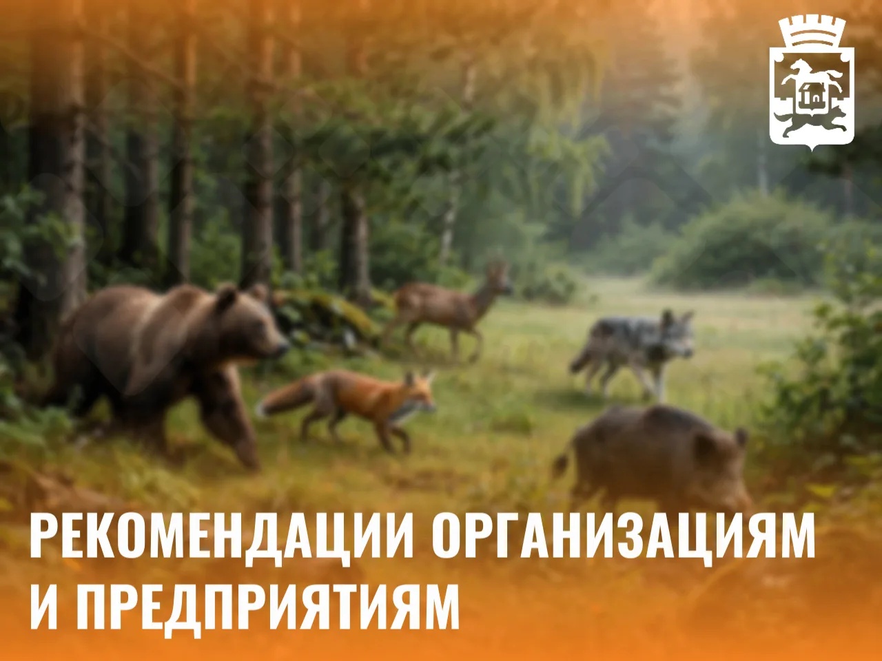 Организациям и предприятиям Новокузнецка: рекомендации в связи с участившимися случаями...