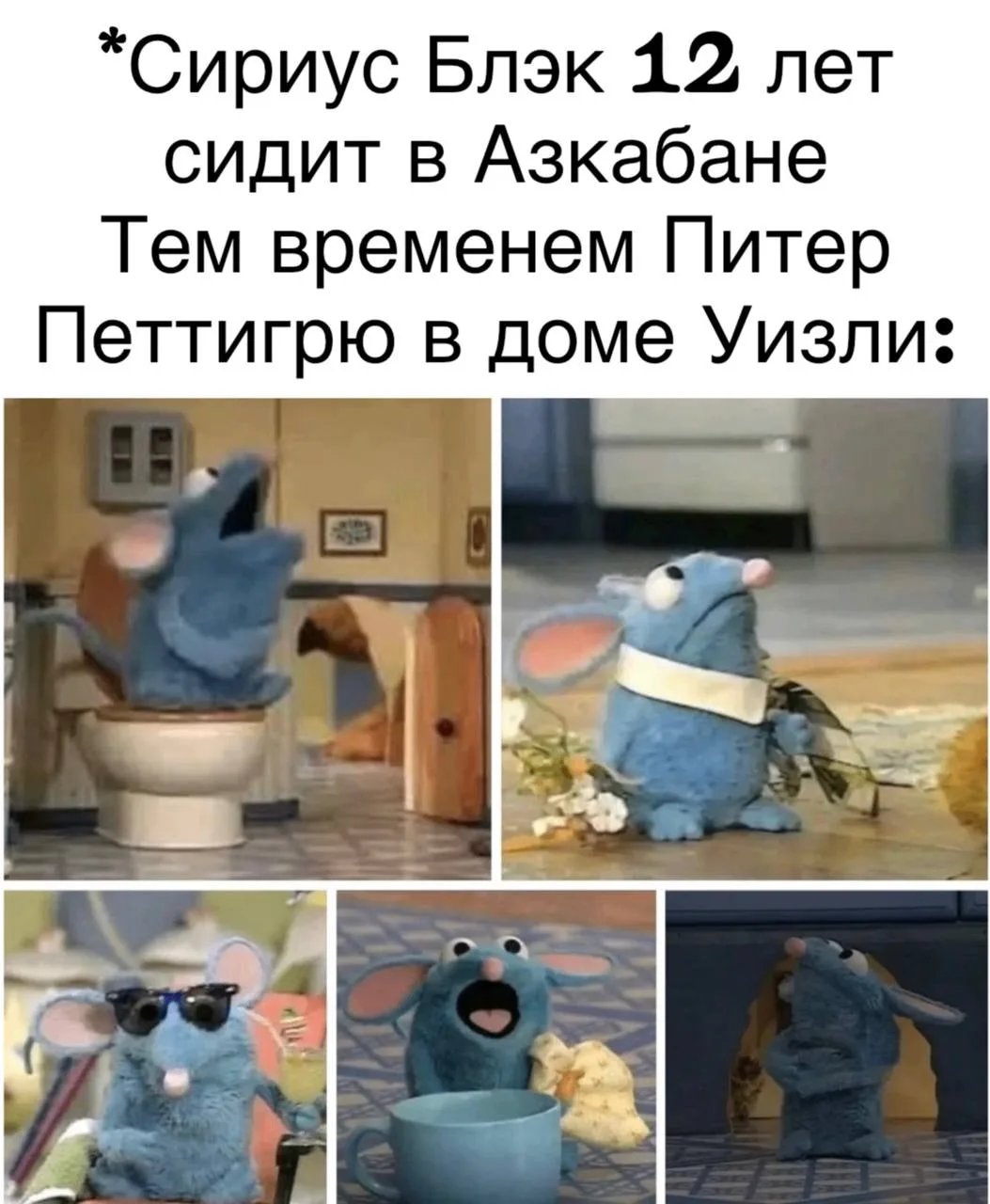 Ля ты крыса!