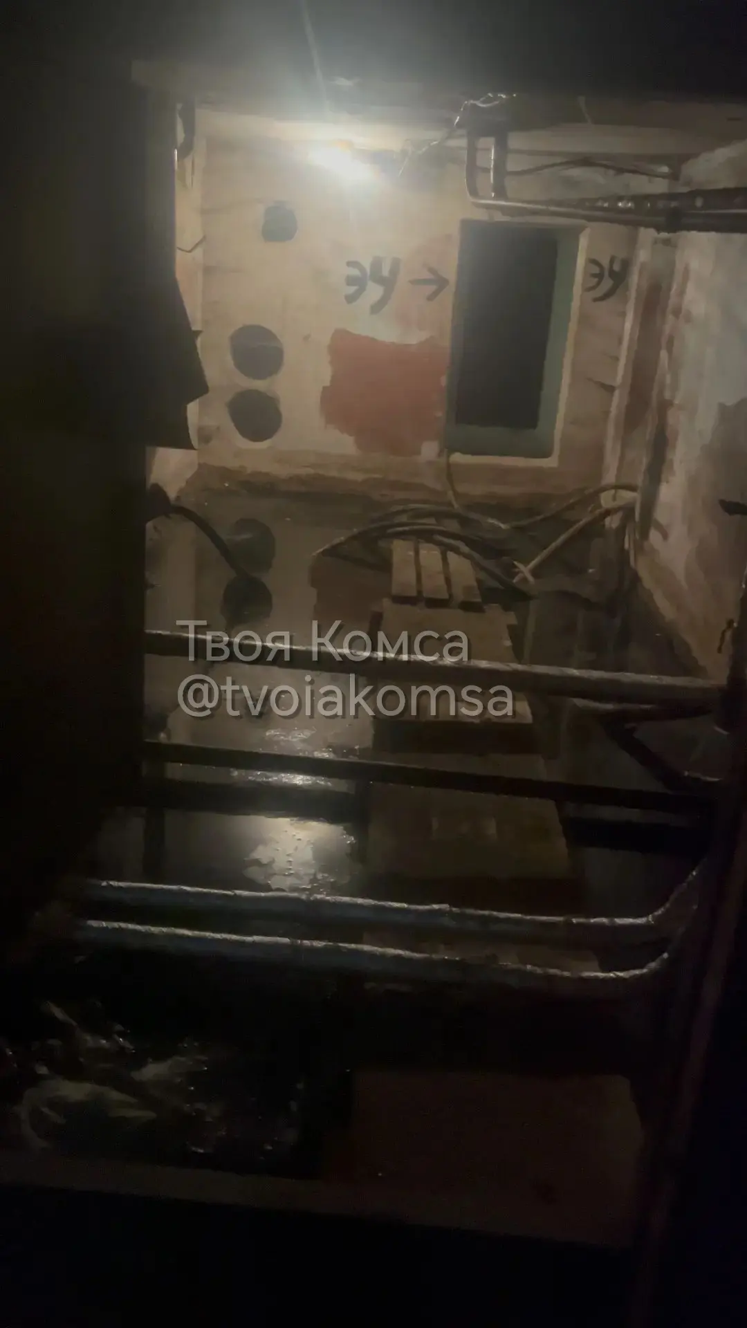 Топит подвал
