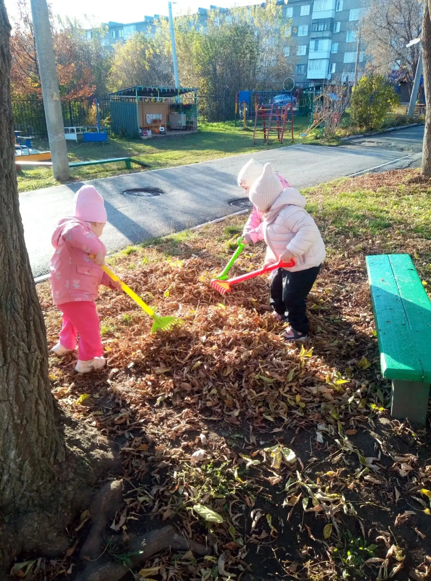 С приходом осени пришла пора уборки листьев.🍂🍁 Сегодня один из прекрасных осенних дне...