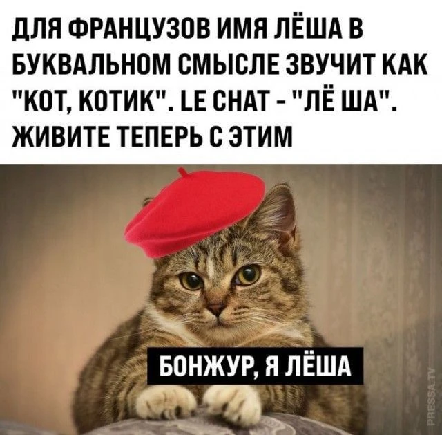 🤣🤣🤣