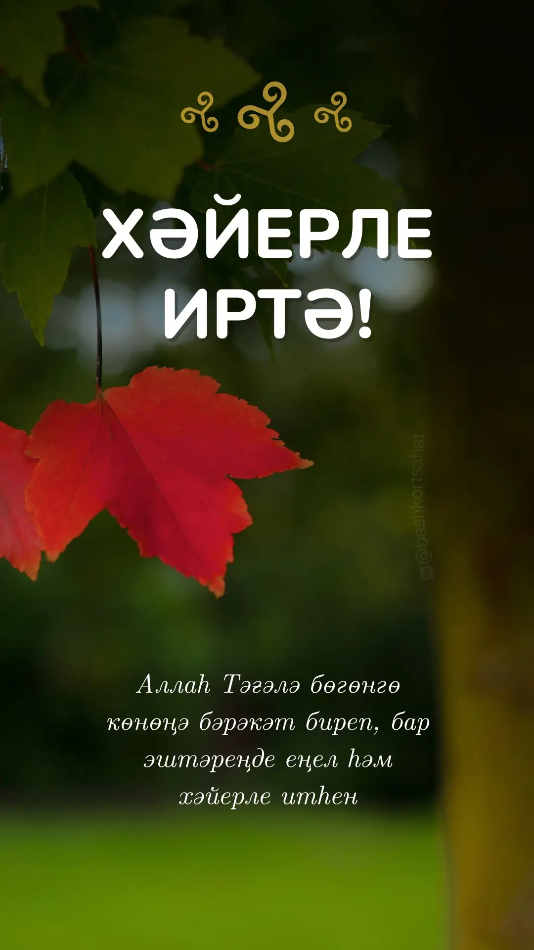 #хәйерлеиртә