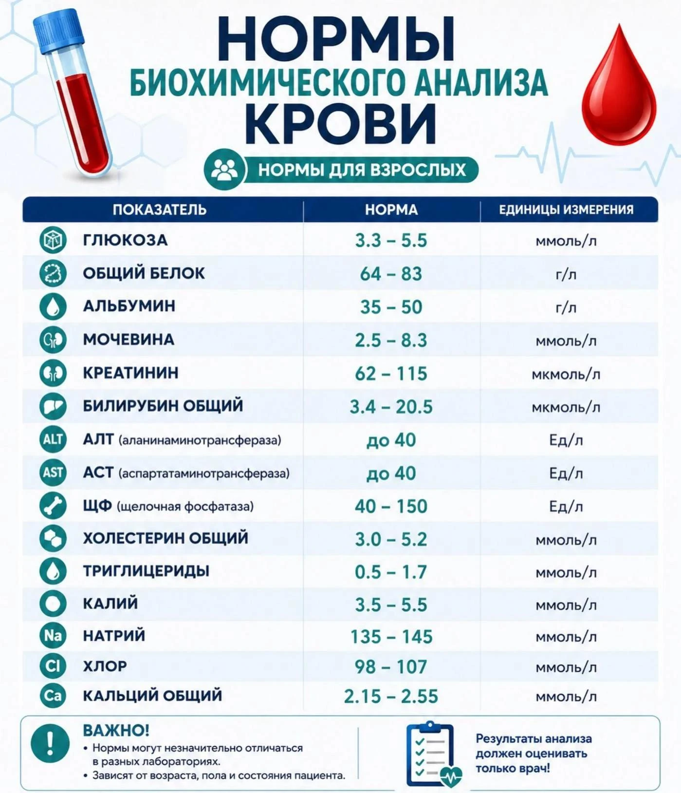 Нормы биохимического анализа крови 🩸